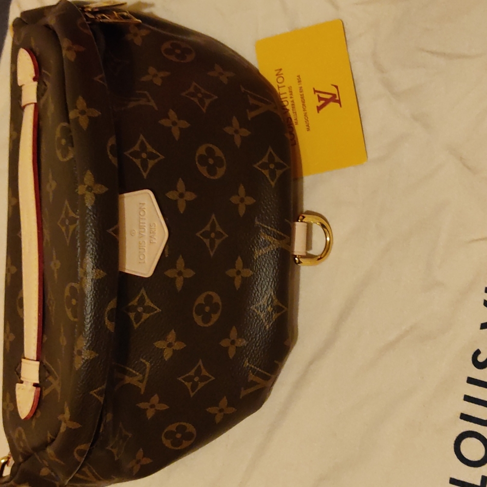 Louis vuitton Bum bag